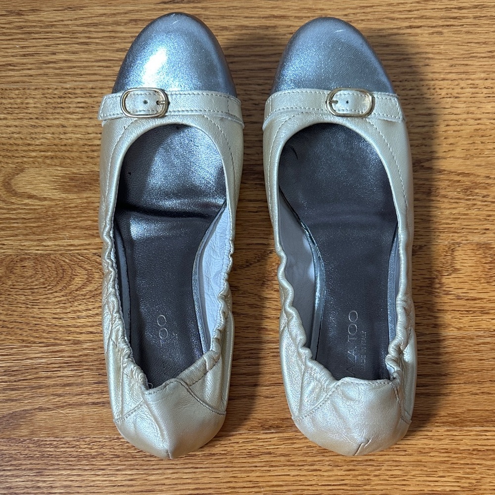 Elegant Metallic Silver and Cream Flats
